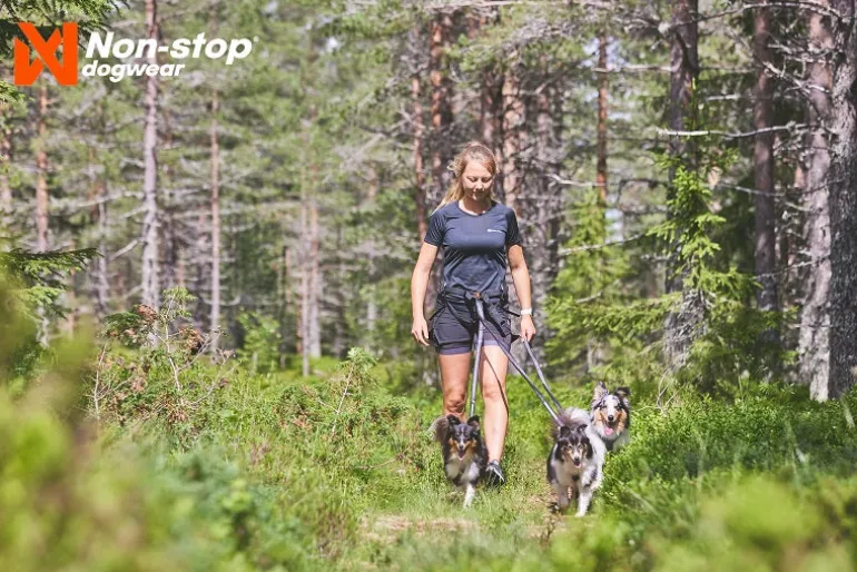 Non-stop dogwear Line Harness 5.0 koiran valjaat, musta