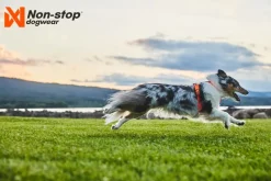 Non-stop dogwear Line Harness 5.0 koiran valjaat, musta