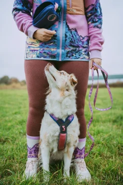 Non-stop dogwear Line harness 5.0 RP signature edition, violetti