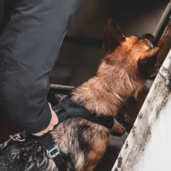 Non-stop dogwear Line harness Grip Defense koiran valjaat, musta