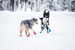 Non-stop dogwear Long Distance Booties
