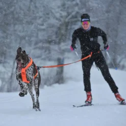 Non-stop dogwear Løype belt pro, musta