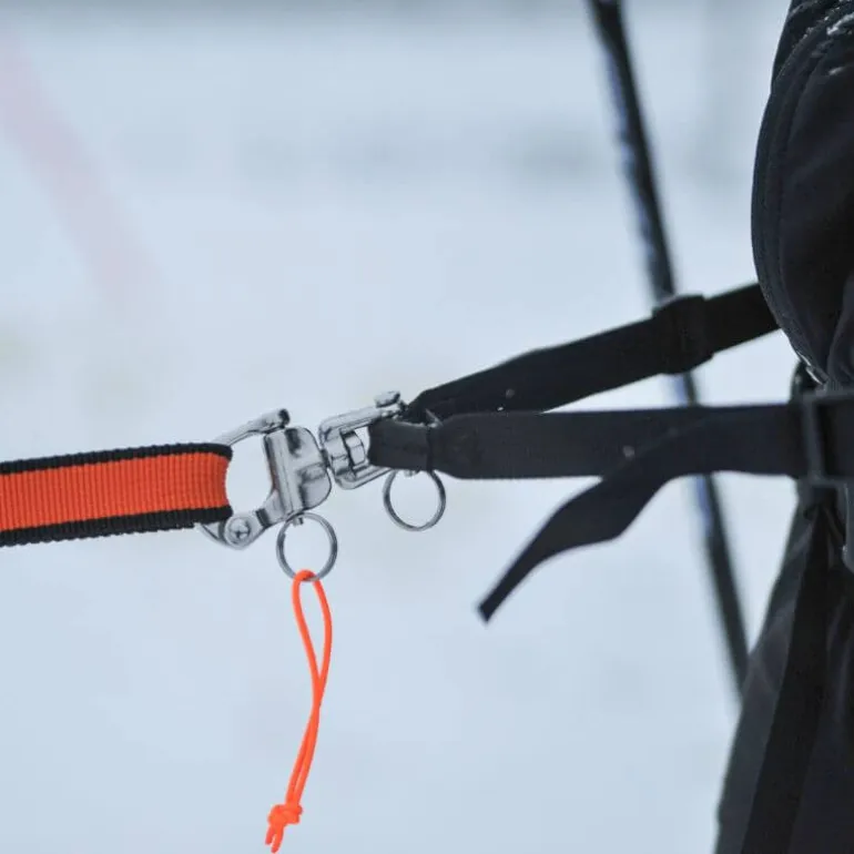 Non-stop dogwear Løype belt pro, musta