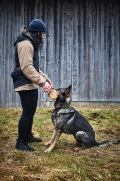 Non-stop dogwear Obedience vest naisten treeniliivi