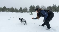 Non-stop dogwear Obedience vest naisten treeniliivi