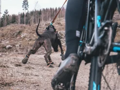 Non-stop dogwear Protector Bootie koiran tossut