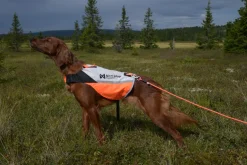 Non-stop dogwear Protector cover 2.0 koiran huomioliivi