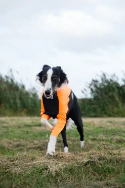 Non-stop dogwear Protector dog suit koiran haalari, nartuille