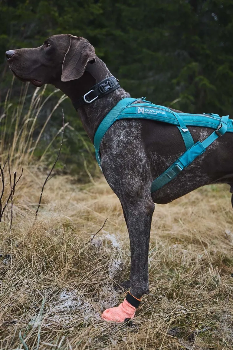 Non-stop dogwear Protector light socks koiran tossut