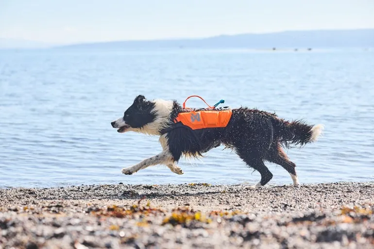 Non-stop dogwear Protector Life pelastusliivi