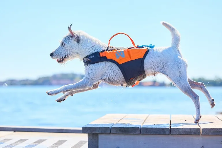 Non-stop dogwear Protector Life pelastusliivi