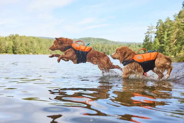 Non-stop dogwear Protector Life pelastusliivi