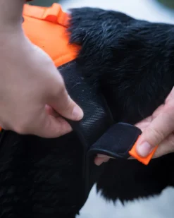 Non-stop dogwear Protector neoprene vest, oranssi