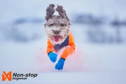 Non-stop dogwear Protector snow koiran haalari, urokselle