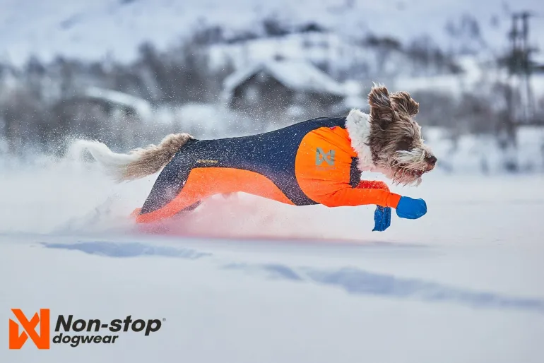 Non-stop dogwear Protector snow koiran haalari, urokselle