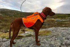 Non-stop dogwear Protector Vest GPS metsästystakki