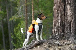Non-stop dogwear Protector vest GPS 2.0 koiran GPS huomioliivi