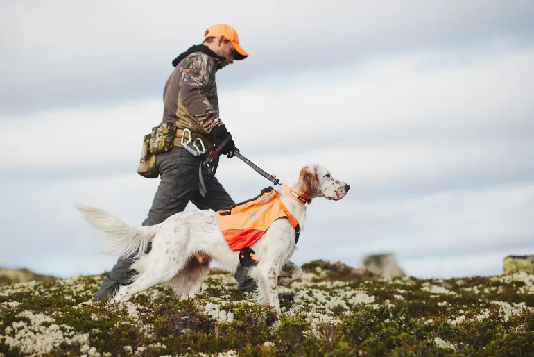 Non-stop dogwear Protector vest GPS 2.0 koiran GPS huomioliivi