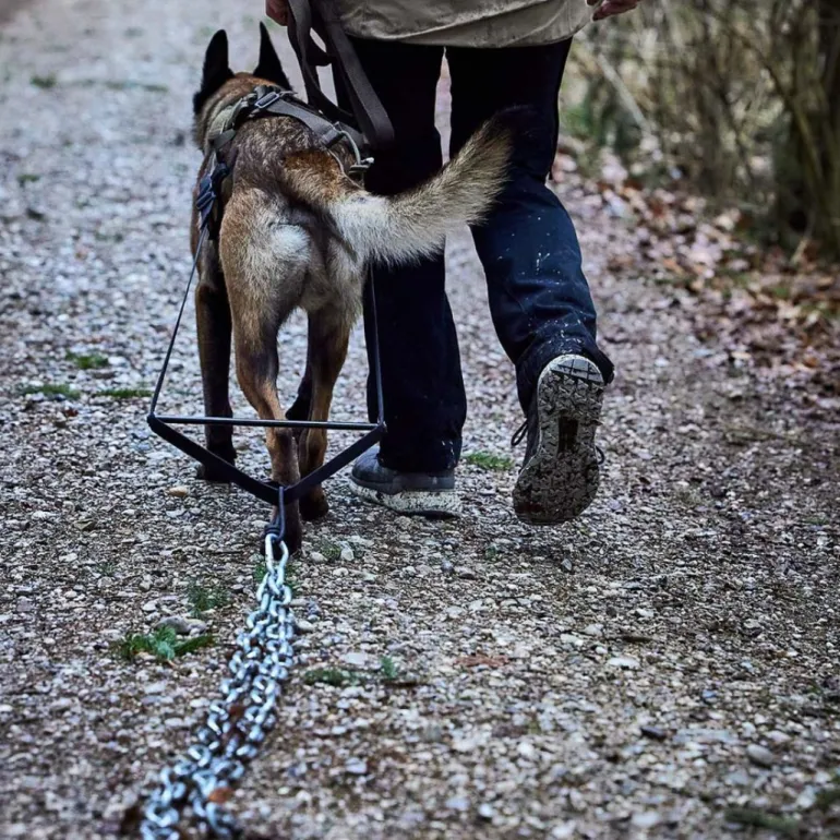 Non-stop dogwear Pulling attachment WD lisävaruste taakanvetoon