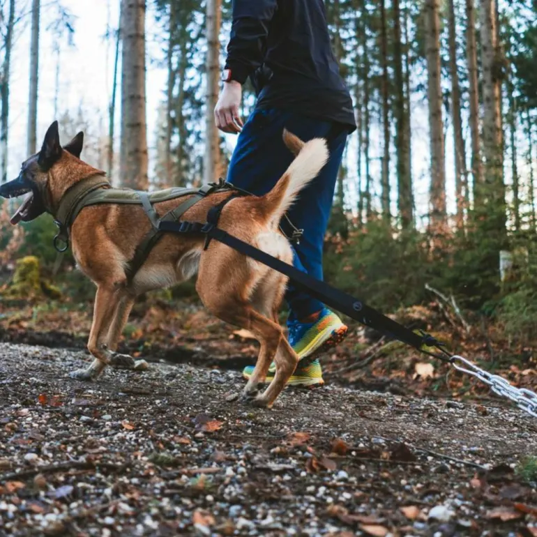 Non-stop dogwear Pulling attachment WD lisävaruste taakanvetoon