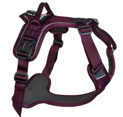 Non-stop dogwear Ramble koiran valjaat, violetti