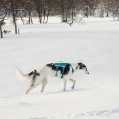 Non-stop dogwear Ramble long koiran valjaat, petrooli