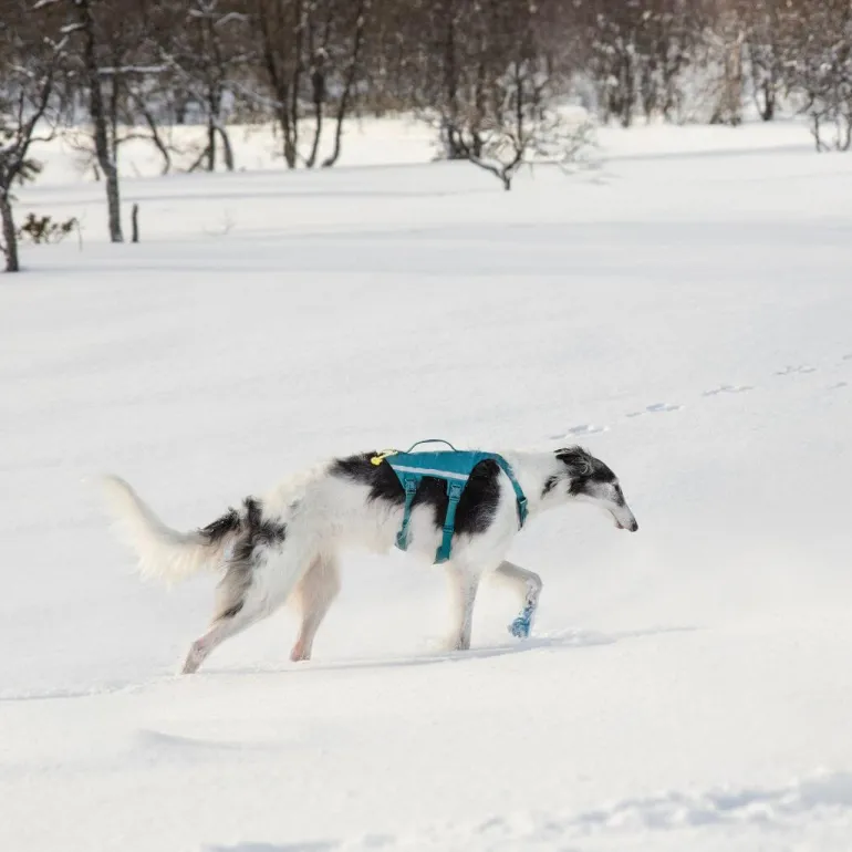 Non-stop dogwear Ramble long koiran valjaat, petrooli