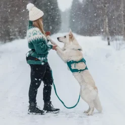 Non-stop dogwear Ramble long koiran valjaat, petrooli