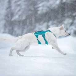 Non-stop dogwear Ramble long koiran valjaat, petrooli