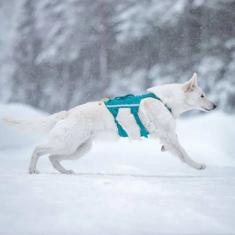 Non-stop dogwear Ramble long koiran valjaat, petrooli