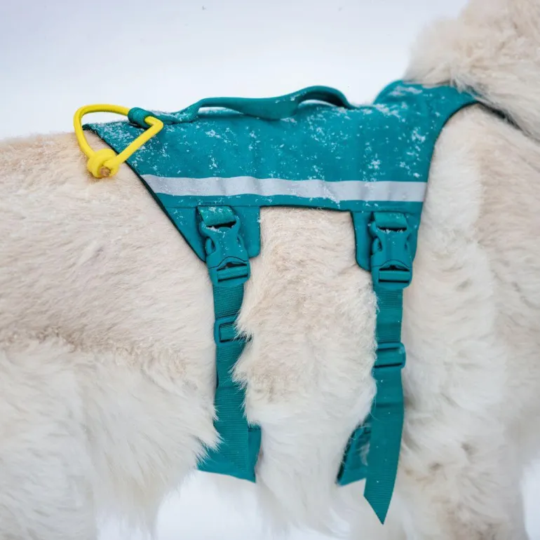 Non-stop dogwear Ramble long koiran valjaat, petrooli