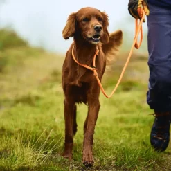 Non-stop dogwear Retriever leash noutajatalutin, oranssi