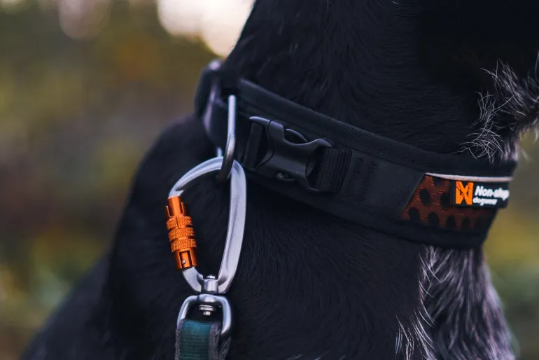 Non-stop dogwear Rock Adjustable Collar, koiran panta