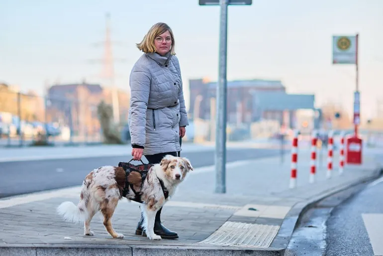 Non-stop dogwear Rock Harness Long Koiran valjaat