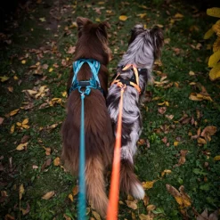 Non-stop dogwear Rush harness lyhyt vetovaljas, musta-oranssi
