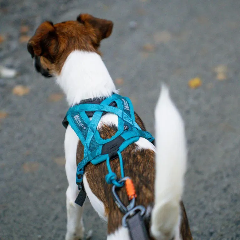 Non-stop dogwear Rush harness lyhyt vetovaljas, teal