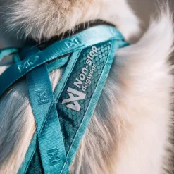 Non-stop dogwear Rush harness lyhyt vetovaljas, teal