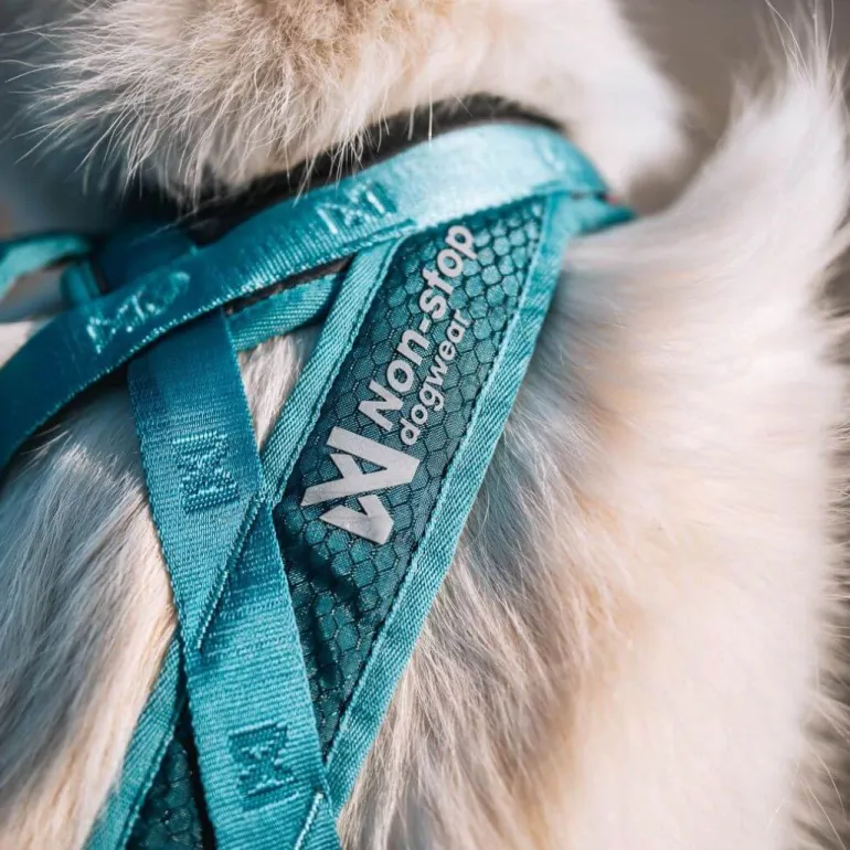 Non-stop dogwear Rush harness lyhyt vetovaljas, teal