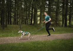 Non-stop dogwear Touring Bungee Leash joustotalutin, teal