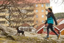 Non-stop dogwear Touring bungee säädettävä talutin