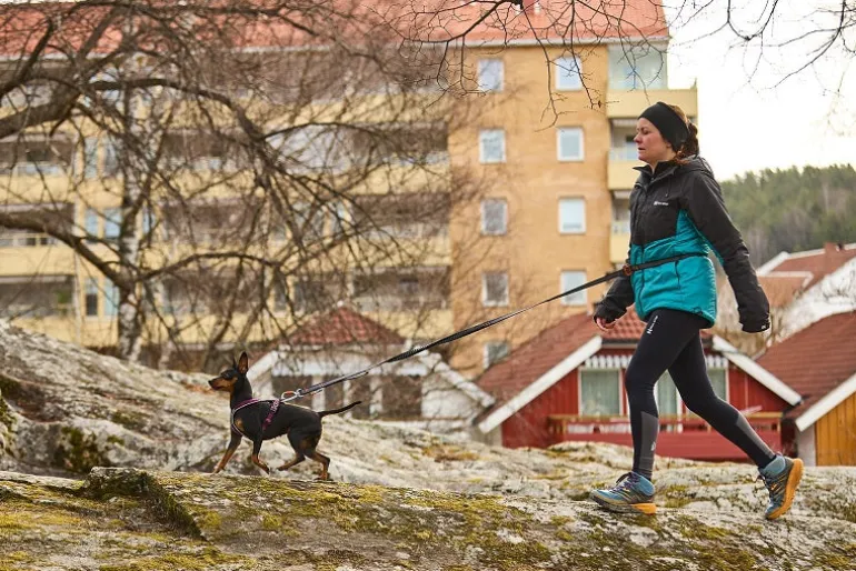 Non-stop dogwear Touring bungee säädettävä talutin