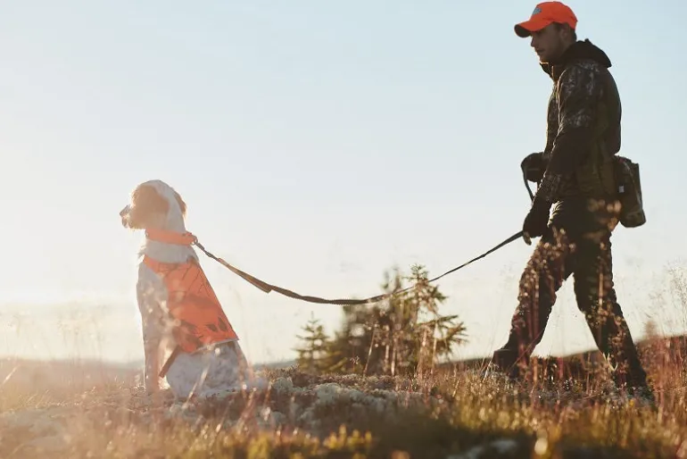 Non-stop dogwear Touring bungee säädettävä talutin
