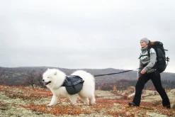 Non-stop dogwear Touring bungee säädettävä talutin