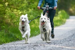 Non-stop dogwear Touring Double hihnanjakaja
