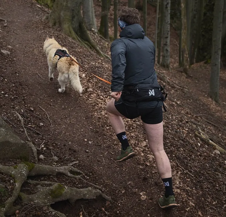 Non-stop dogwear Trail light belt vetovyö