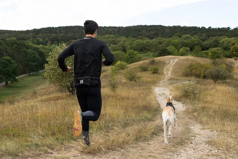 Non-stop dogwear Trail light belt vetovyö