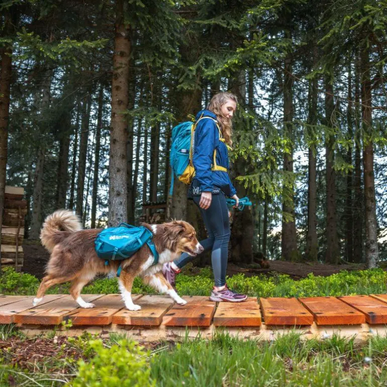 Non-stop dogwear Trail quest dog backpack koiran reppu, sininen