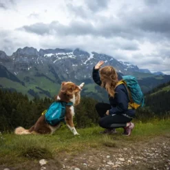 Non-stop dogwear Trail quest dog backpack koiran reppu, sininen