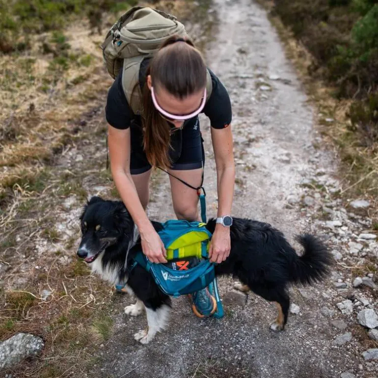 Non-stop dogwear Trail quest dog backpack koiran reppu, sininen
