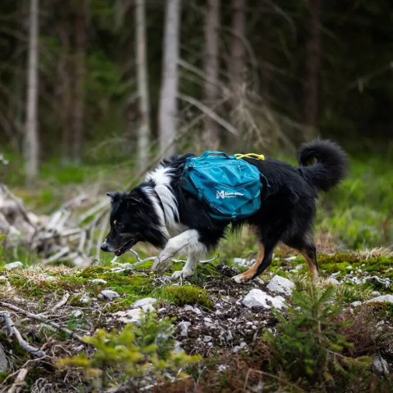 Non-stop dogwear Trail quest dog backpack koiran reppu, sininen